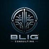 BLIG CONSULTING